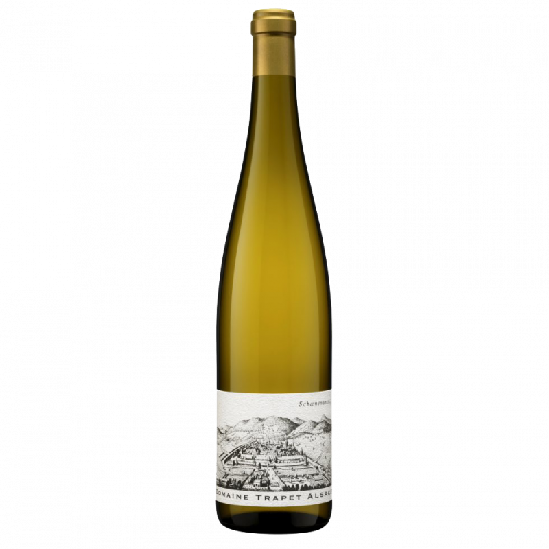 Riesling Schoenenbourg Domaine Trapet 2013